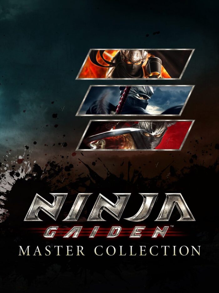 ninja gaiden master collection cover original - GameKeyShop.fi